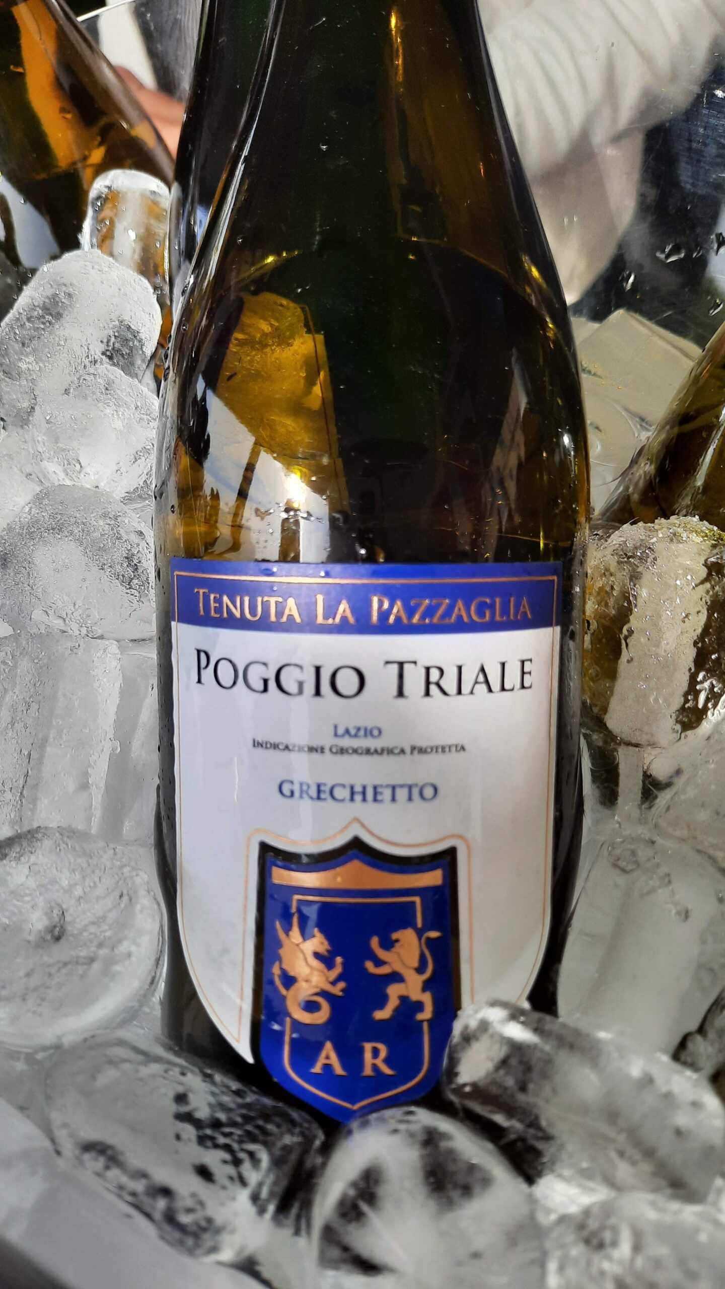  Poggio Triale Grechetto Lazio Igt 2019 Tenuta la Pazzaglia, Only Wine festival 2023, foto di Adriano Guerri