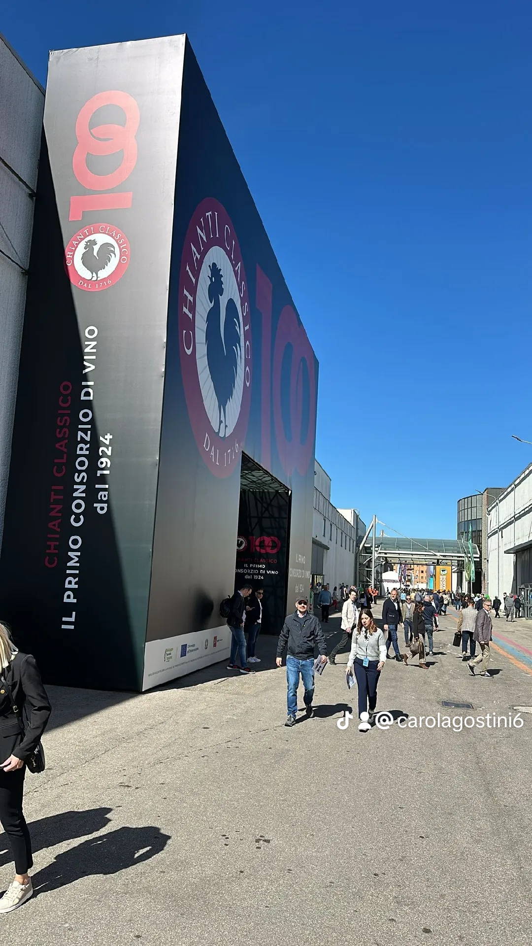 Vinitaly 2024: Un Viaggio nel Cuore della Cultura Enologica, foto di Carol Agostini