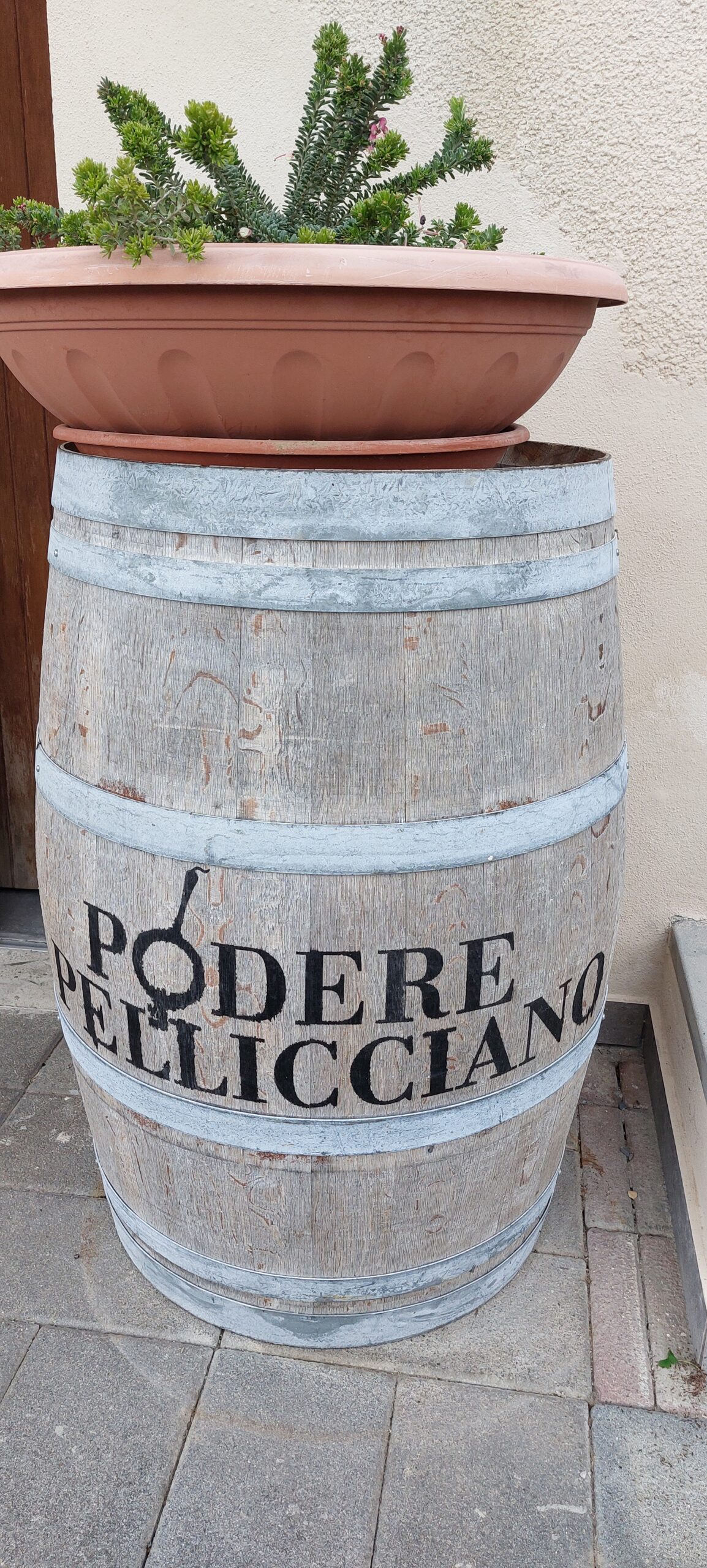 Podere Pellicciano e alcune vigne della cantina, foto di Carol Agostini