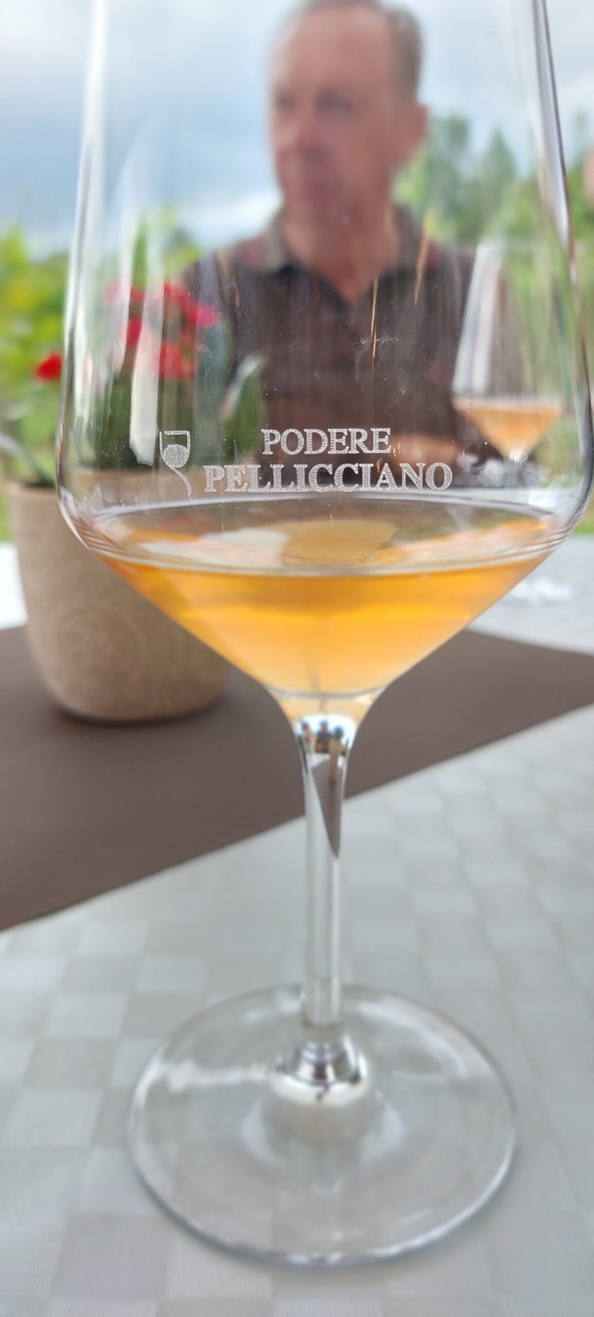 Podere Pellicciano 2024, vini di valore di San Miniato, foto di Carol Agostini