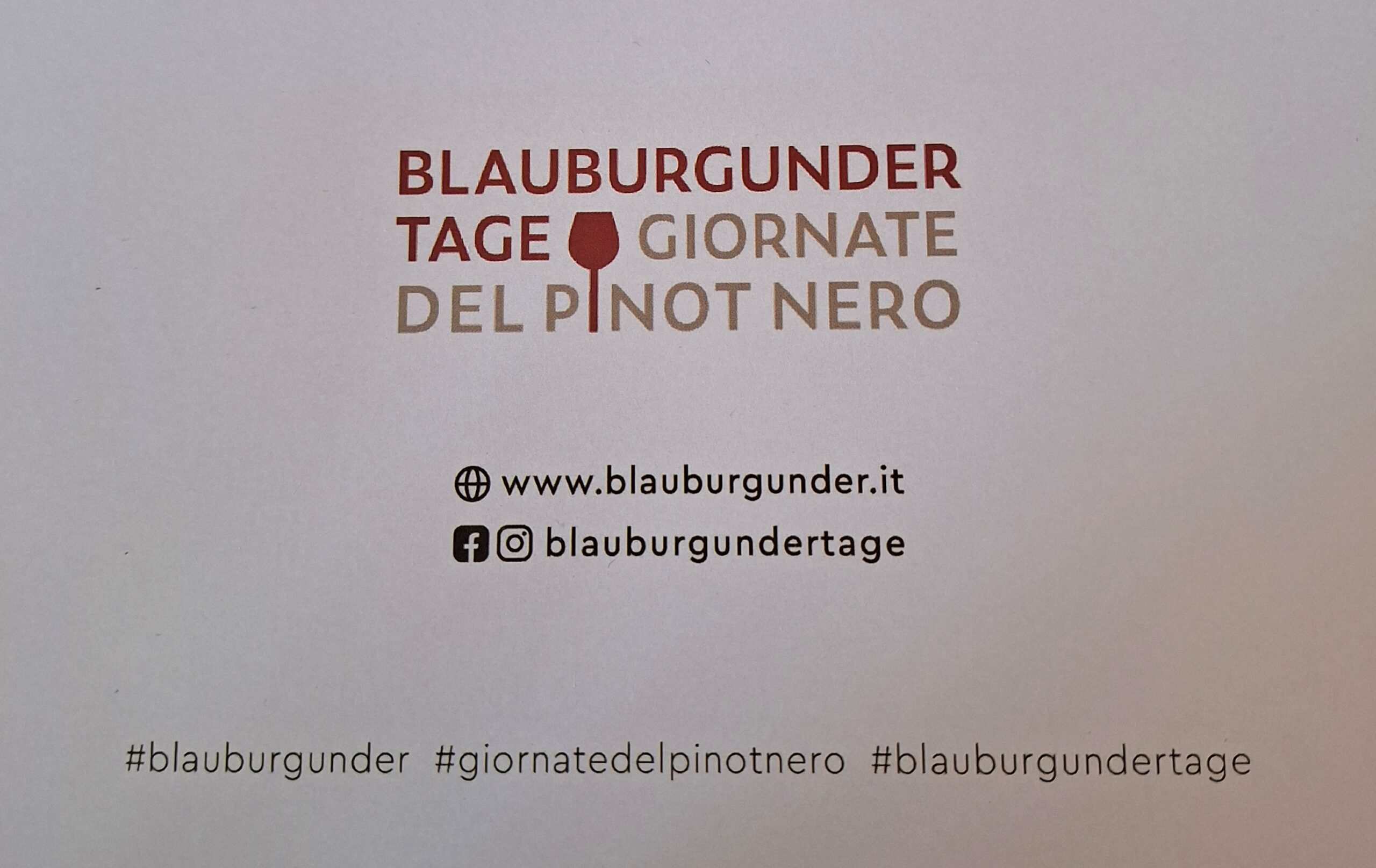 Blauburgundertage 2024, le giornate del Pinot Nero, foto dell'autrice