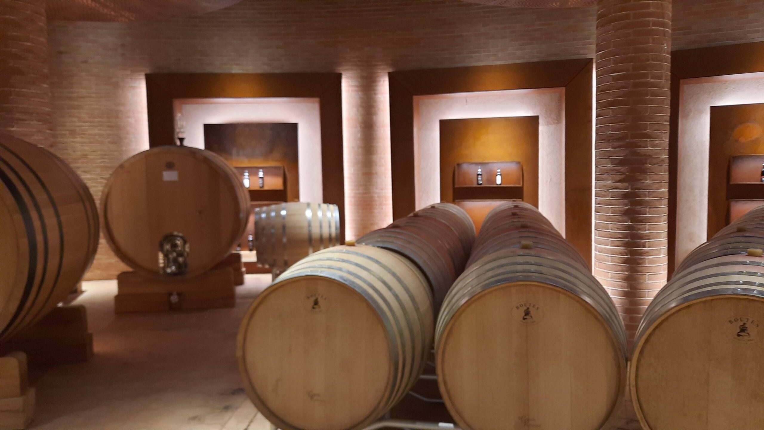 Botti e tonneaux della cantina visitata, articolo: Montefalco Sagrantino DOCG e non solo, autentico giugno 2024, foto dell'autore