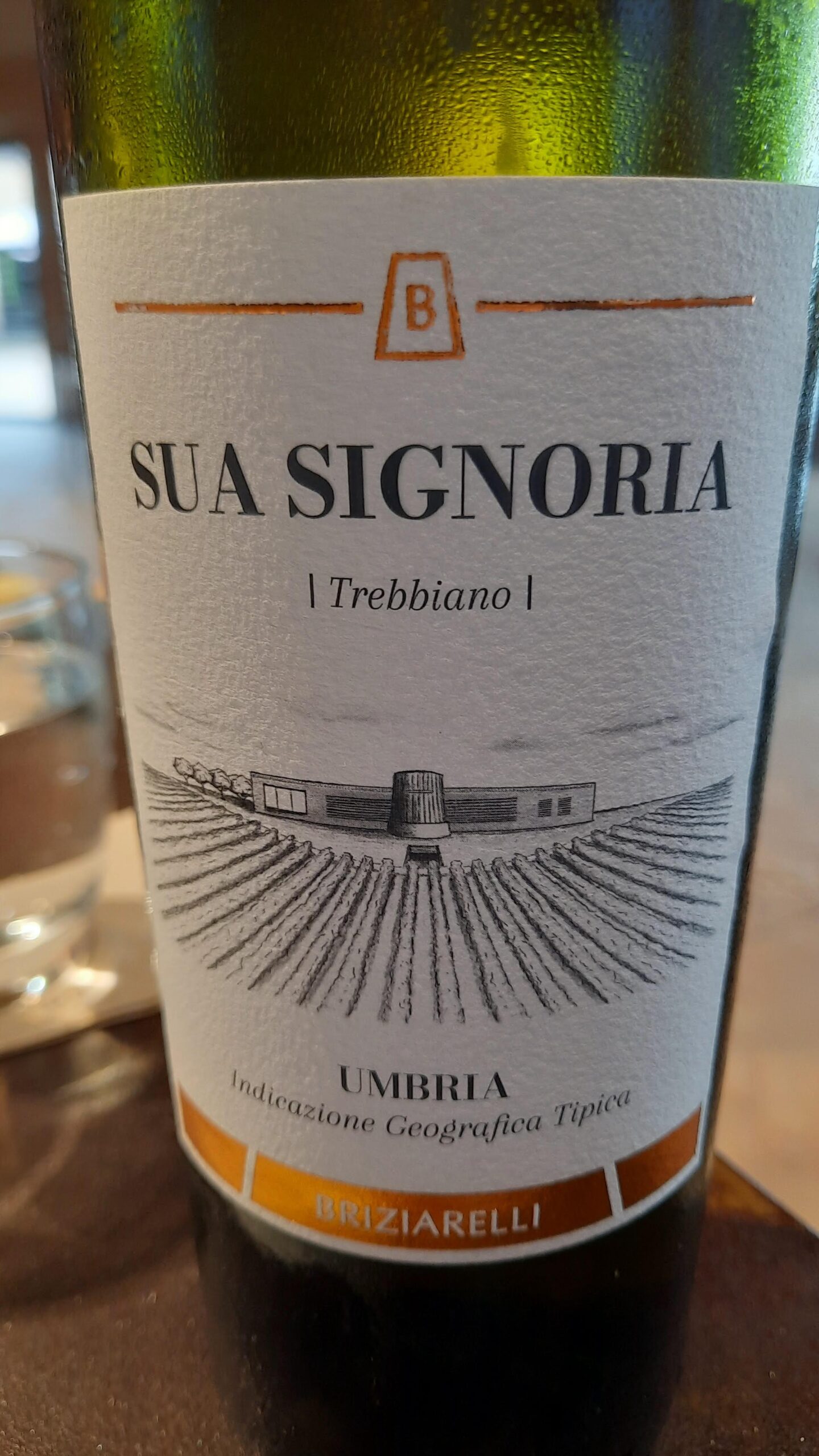 Sua Signoria Umbria Bianco Igt 2023, articolo: Montefalco Sagrantino DOCG e non solo, autentico giugno 2024, foto dell'autore