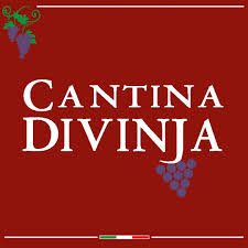 Cantina Divinja dal 2008, un viaggio speciale nel Lambrusco, logo da sito