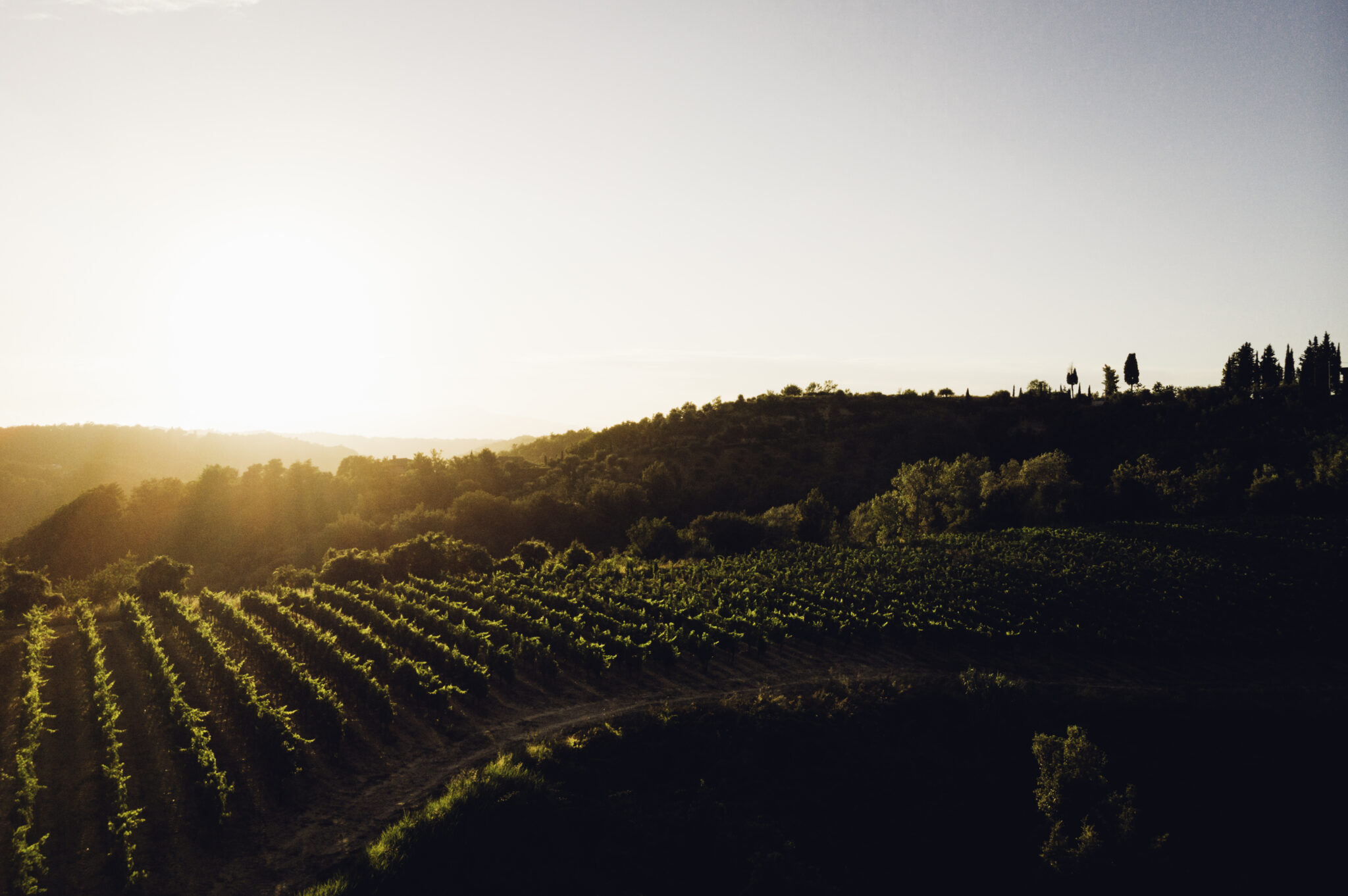 Podere Pellicciano e alcune vigne della cantina, foto da internet