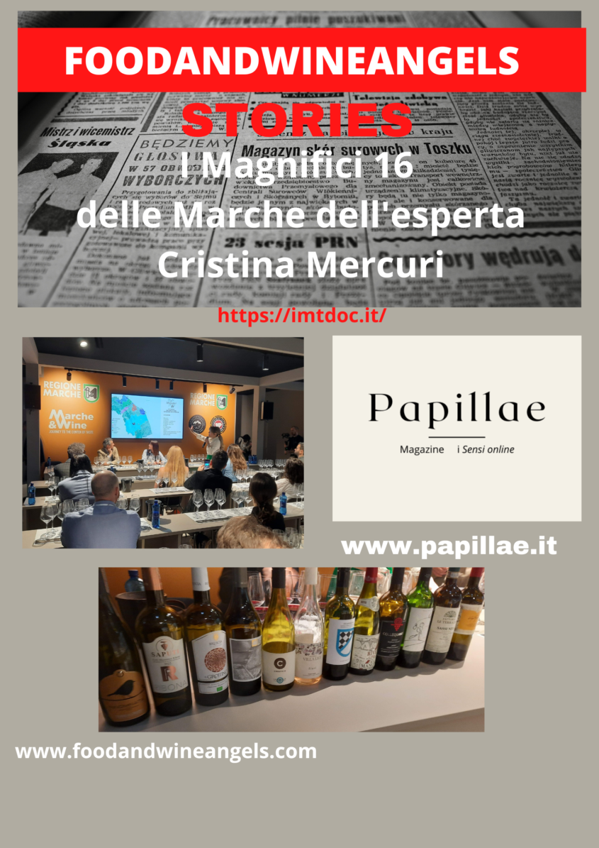 I Magnifici 16 delle Marche dell’esperta Cristina Mercuri