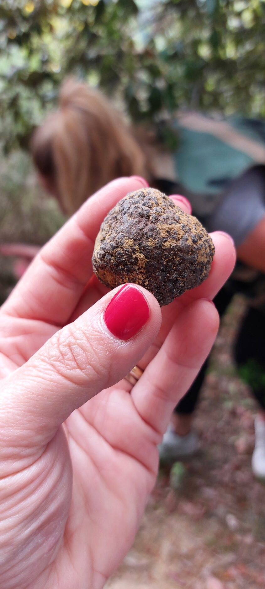 Tartufi Nacci 2024 e l’affascinante caccia al tartufo