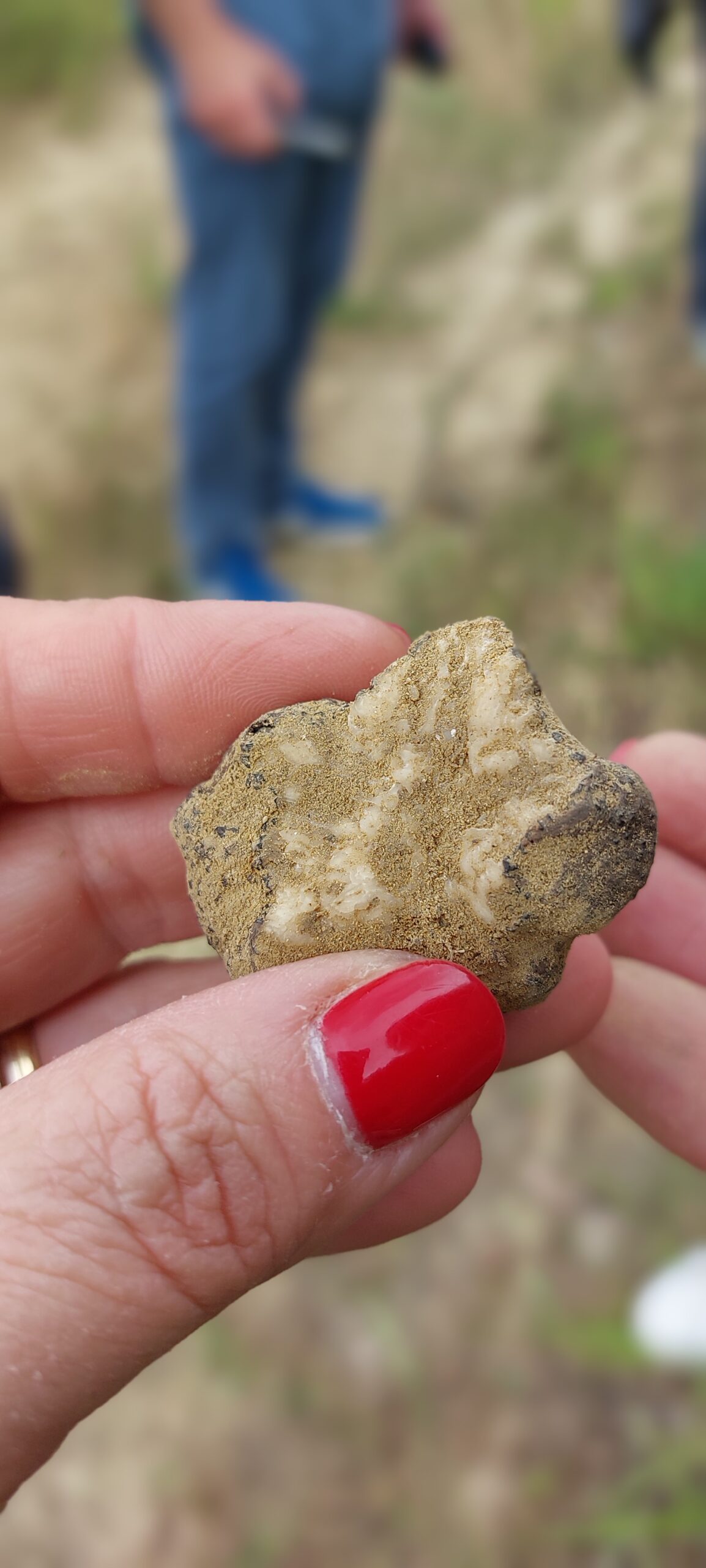 Tartufi Nacci 2024 e l'affascinante caccia al tartufo, foto di Carol Agostini