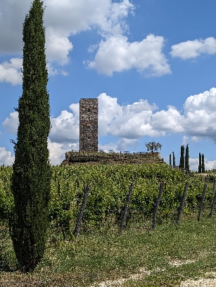 Tenimenti Leone, notevole cantina riconfermata nel 2024, foto di Cristina Santini