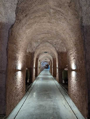 Tenimenti Leone, notevole cantina riconfermata nel 2024, foto di Cristina Santini, la cantina