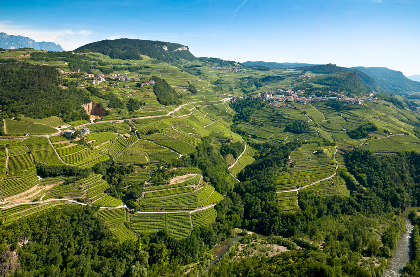 37° Rassegna MÜLLER THURGAU, autentico vino di montagna, il paesaggio della Val di Cembra, foto archivio rassegna