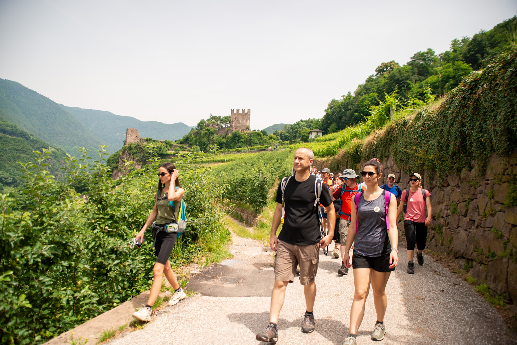 37° Rassegna MÜLLER THURGAU, autentico vino di montagna, foto archivio rassegna