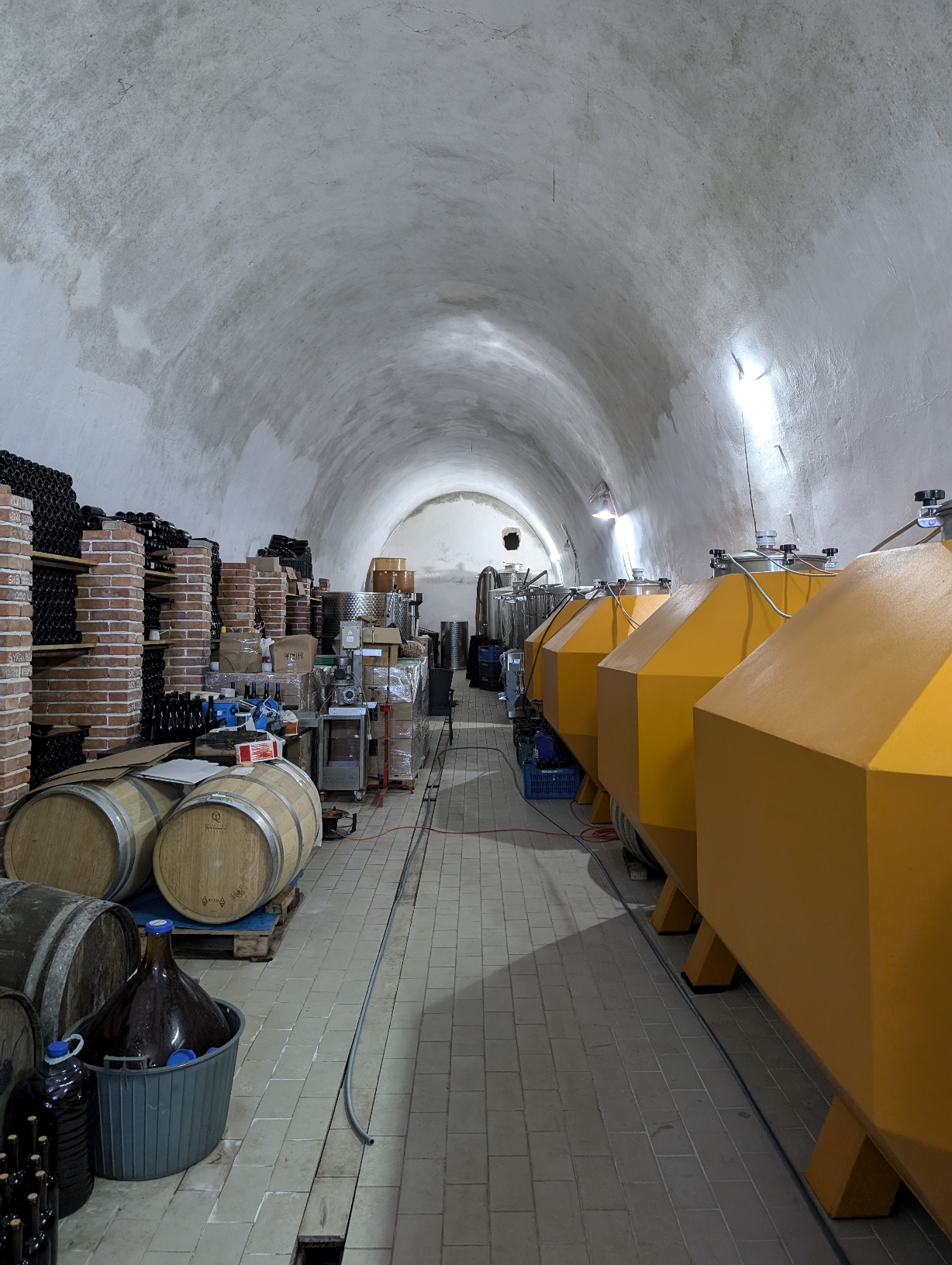 La Kantina Balaj di Mifol nel distretto di Valona 2024, foto di Cristina Santini, cantina