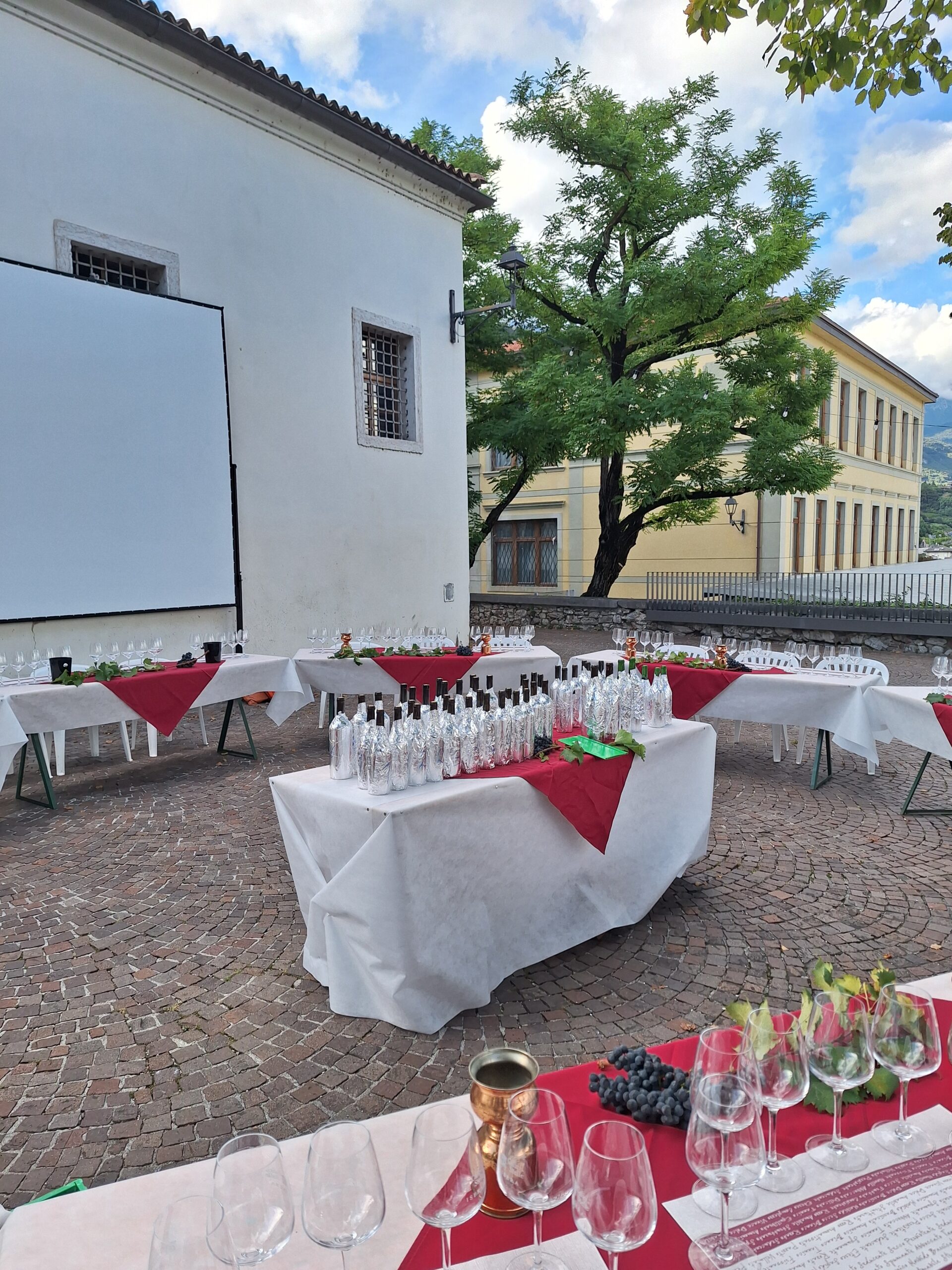 Foto dell’evento di Letizia Simeoni, articolo: Il Risveglio del “marzemino gentile” eccellente vitigno