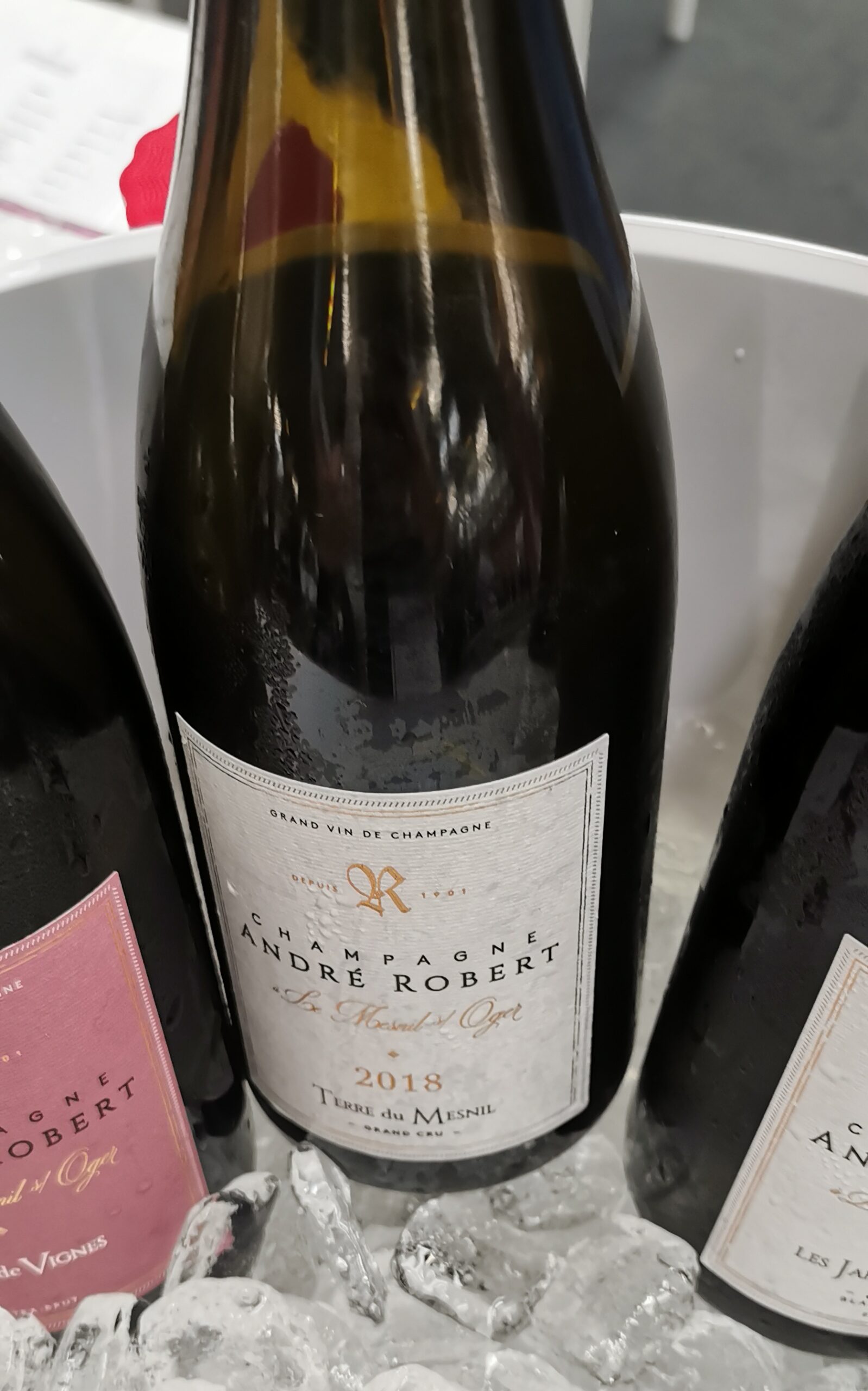 ANDRÉ ROBERT TERRE DU MESNIL 2018, articolo: Modena Champagne 2024: un evento irresistibile, foto dell'autrice