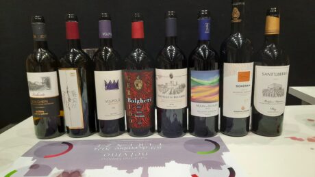 I vini degustati durante la masterclass, articolo: Saranno Famosi nel Vino 2024, evento vinicolo di successo, foto dell'autore