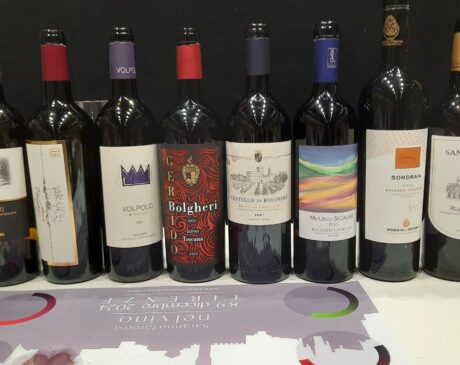 I vini degustati durante la masterclass, articolo: Saranno Famosi nel Vino 2024, evento vinicolo di successo, foto dell'autore